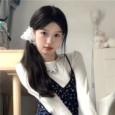 犯罪生涯